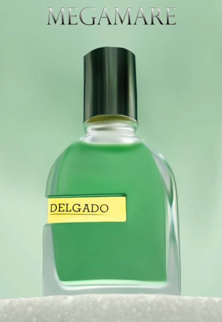 عطرجیبی مردانه دلگادومدل مگامارDelgado megamare